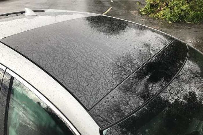 Honda Civic 1.0 VTEC Turbo 126 EX 5dr 