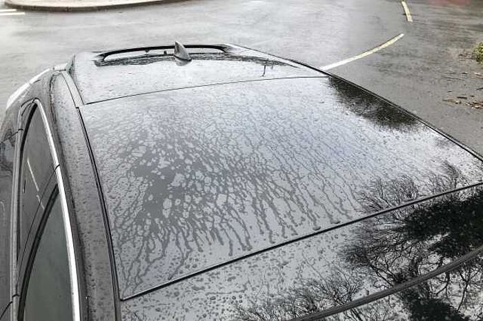 Honda Civic 1.0 VTEC Turbo 126 EX 5dr CVT 